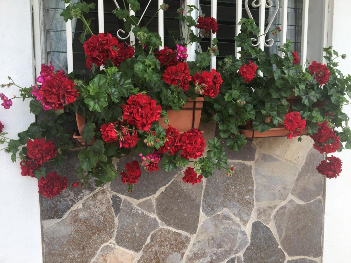 Detached Villa, Private Pool Only 10 Minutes Cristianos Villa Valle de San Lorenzo