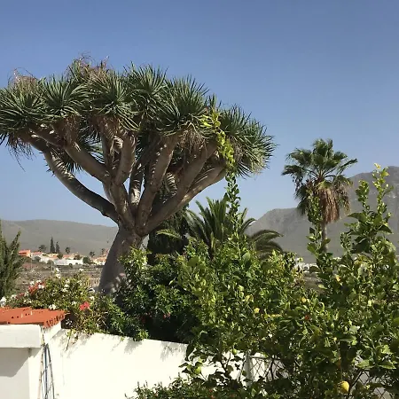 Detached Villa, Private Pool Only 10 Minutes Los Cristianos Valle de San Lorenzo Extérieur photo